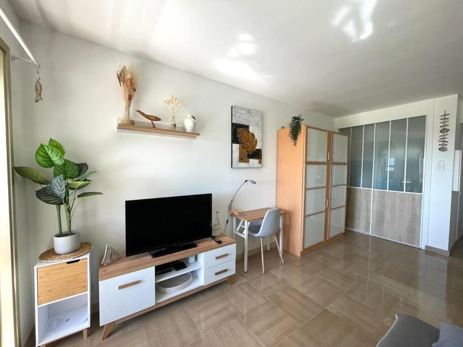 Studio Port Marina - Parking Prive, Climatise Au Ducal Villeneuve-Loubet Exterior foto